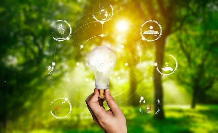 Goiener la cooperativa con tarifas de luz ecológicas