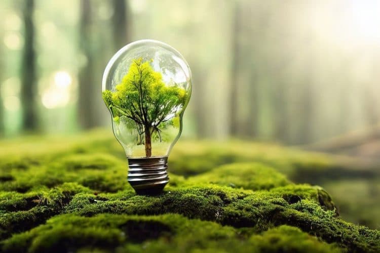 Ninobe Energía: la comercializadora con tarifas de luz 100% renovables