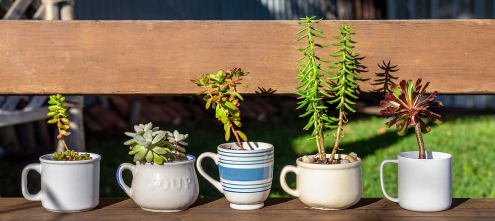 Upcycling: ¿una forma de ahorrar energía?