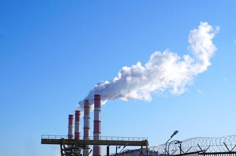 Endesa comienza las pruebas con biocombustibles