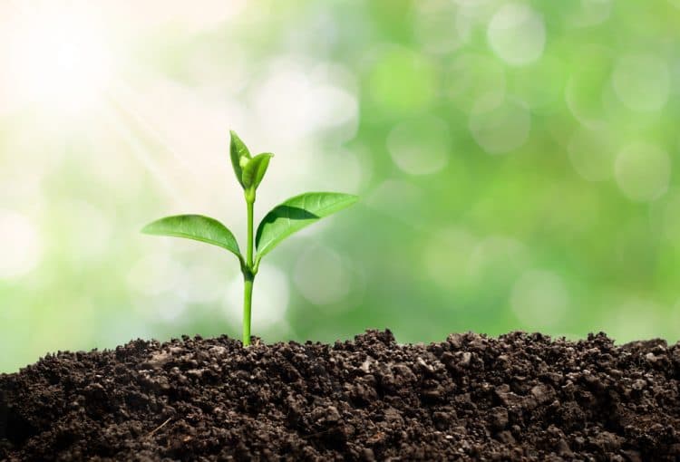 Guía definitiva de reciclaje: nunca más dudarás