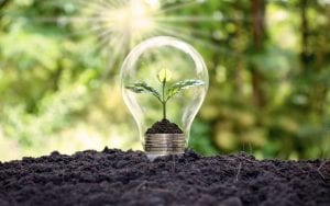 bulb energia