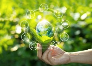 embalaje compostable