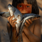 indigena